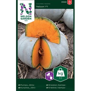Fröer Nelson Garden Jättepumpa Nelson F1