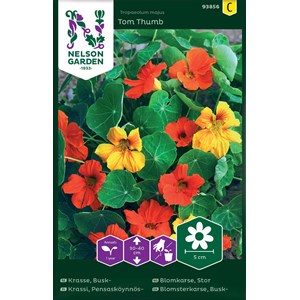Fröer Nelson Garden Krasse Busk- Tom Thumb Blandade Färger