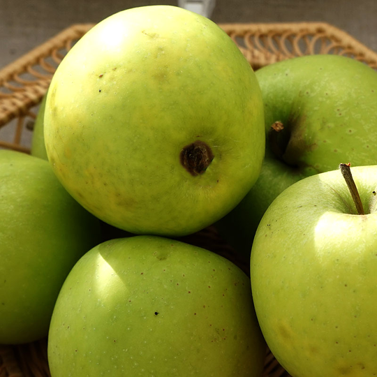 Ympris äpple 'Galoway'