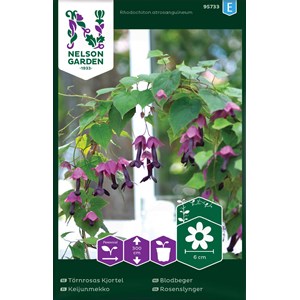 Fröer Nelson Garden Törnrosas Kjortel