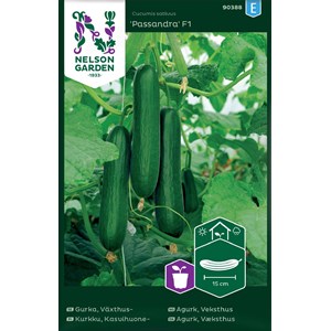 Fröer Nelson Garden Växthusgurka Passandra F1