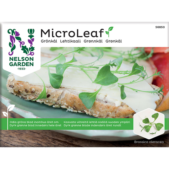 Micro leaf, Grönkål 'Jagallo Nero'