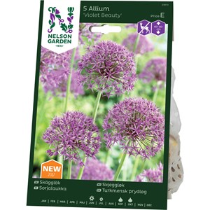 Höstlök Nelson Garden Skägglök Violet Beauty Violett