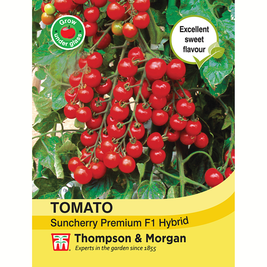 Tomat 'Suncherry Premium' F1