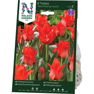 Höstlök Nelson Garden Påfågelstulpan Rödluvan Röd
