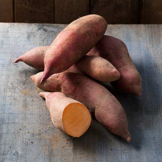 Sötpotatis 'Vineland Early Orange', ekologisk 3-pack