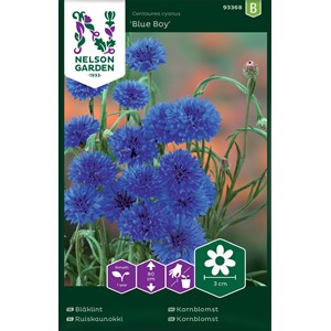 Fröer Nelson Garden Blåklint Blue Boy, Blå