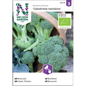 Fröer Nelson Garden Broccoli Calabrese Natalino