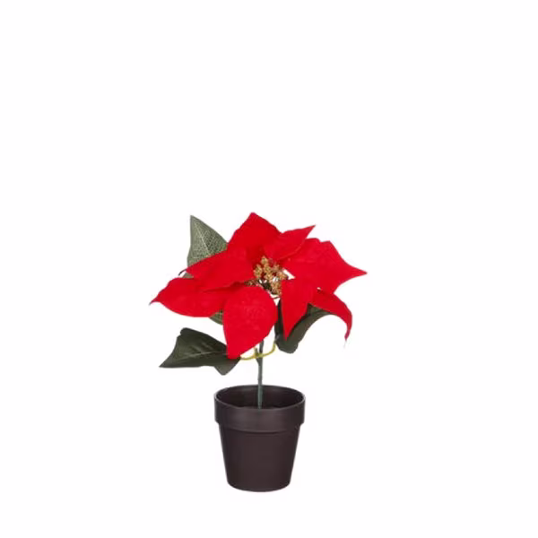 Julstjärna - Konstgjord Julblomma