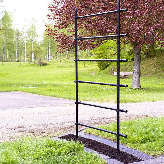 Växtspaljé, svart 100 cm