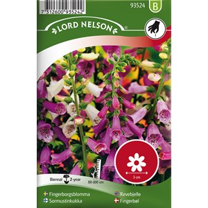 Fröer Nelson Garden Fingerborgsblomma Blandade färger