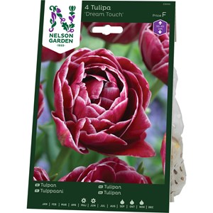 Höstlök Nelson Garden Dream Touch Sen Fylld Tulpan Rödlila