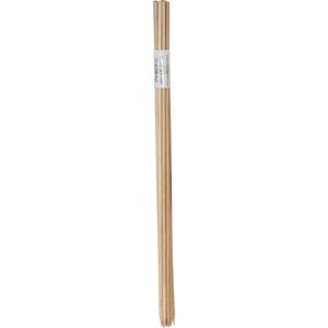Blompinnar Nelson, 10-pack 30 cm