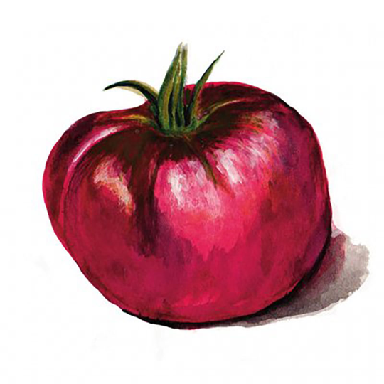 Bifftomat 'Cherokee Purple'