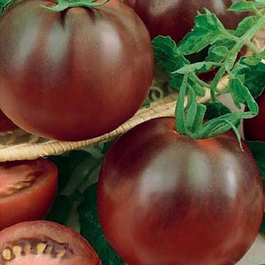 Tomat 'Bombonera'