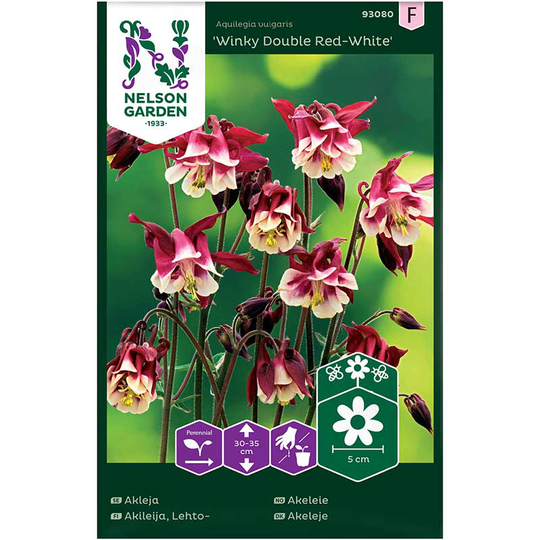 Akleja 'Winky Double Red-White'