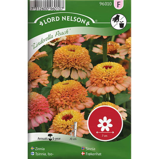 Zinnia 'Zinderella Peach'