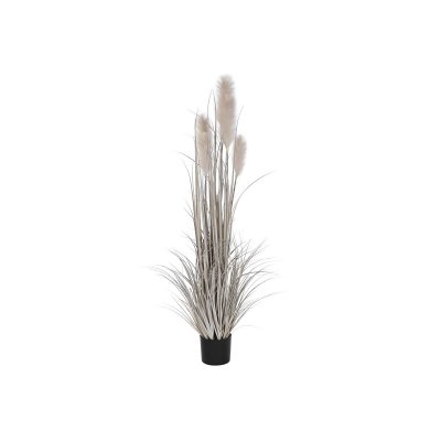 Dekorativ växt DKD Home Decor Borste (45 x 45 x 150 cm)