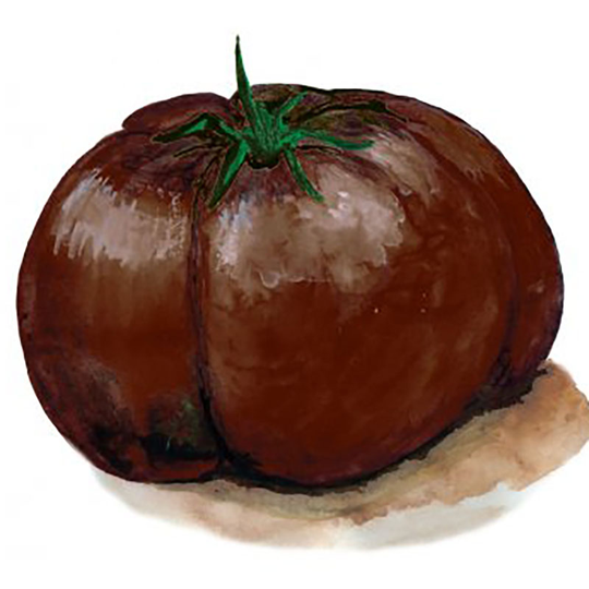 Bifftomat 'Black Brandywine'