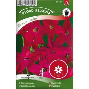 Fröer Nelson Garden Blomstertobak Crismson Bedder, Röd