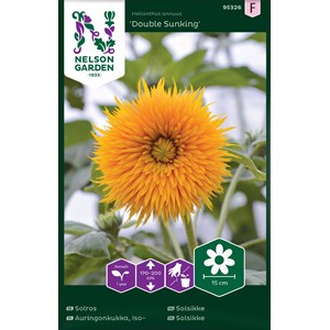 Fröer Nelson Garden Solros Double Sunking