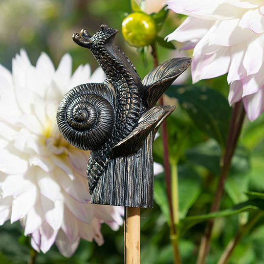 Trädgårdsknopp, snigel