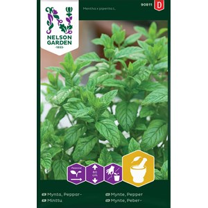 Fröer Nelson Garden Pepparmynta