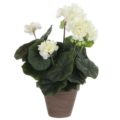 Dekorativ växt Mica Decorations PVC Pelargon