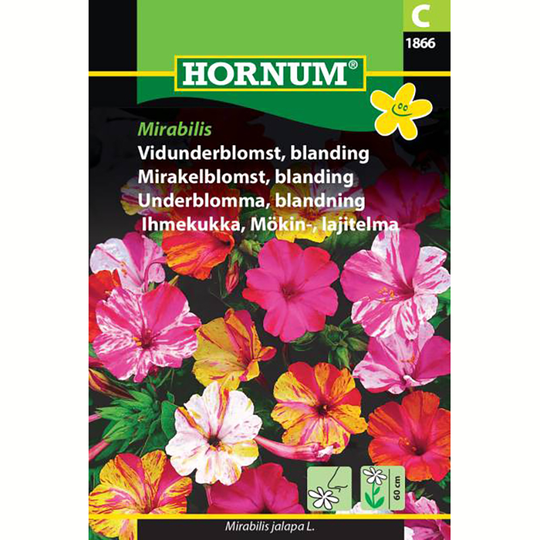 Underblomma 'Mirabilis'