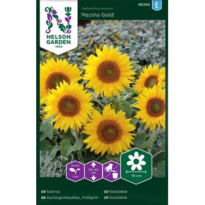 Fröer Nelson Garden Solros Pacino Gold Låg