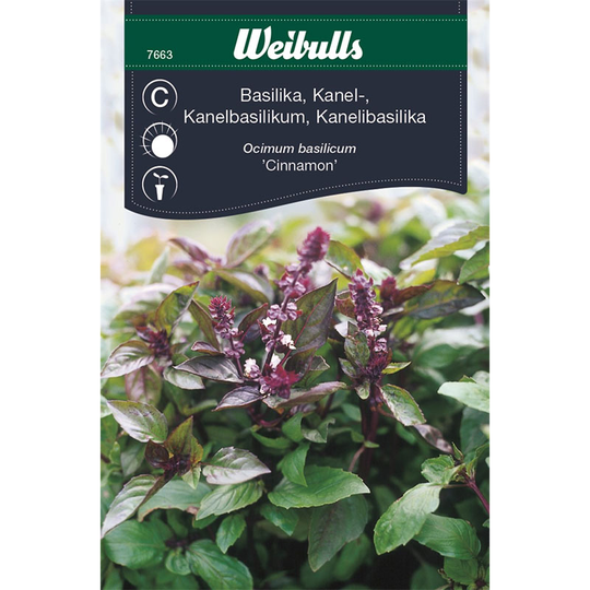 Kanelbasilika 'Cinnamon'