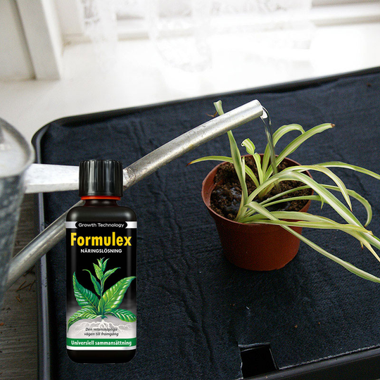 Bevattningsbricka med Formulex 300ml