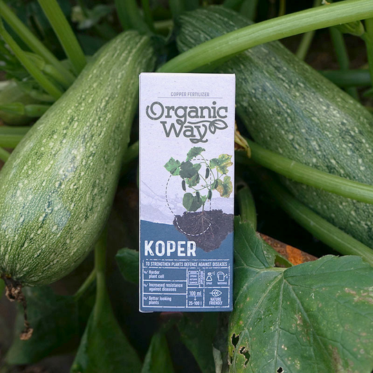 Koppargödsel Koper