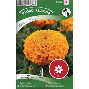 Fröer Nelson Garden Stortagetes Tashian Orange