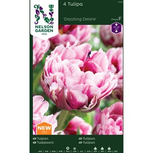 Höstlök Nelson Garden Tulpan Dazzling Desire