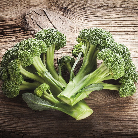Broccoli 'Ramoso Calabrese', ekologisk