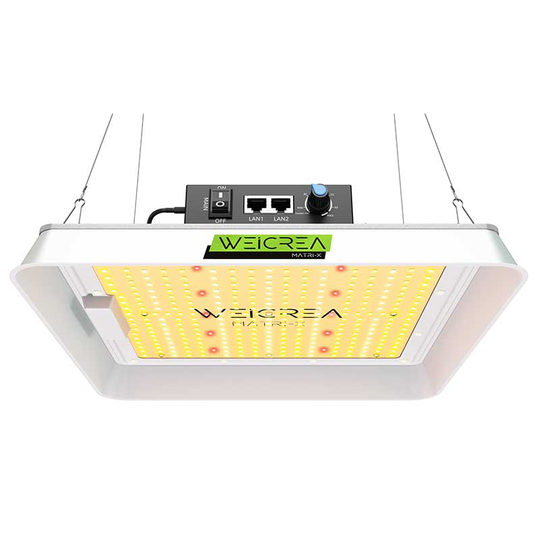 Växtlampa LED - Growboard X 100 W