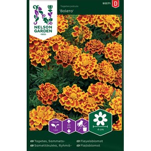 Fröer Nelson Garden Sammetstagetes Bolero