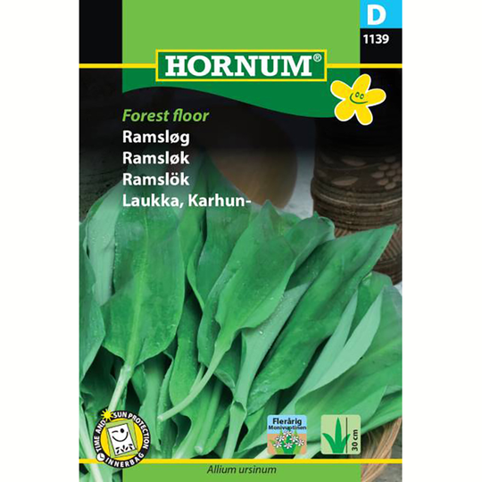 Ramslök 'Forest floor'
