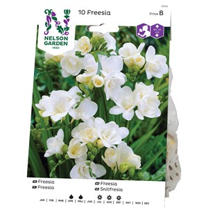 Vårlök Nelson Garden Freesia Dubbel, Vit