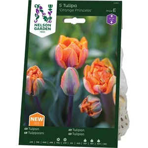 Höstlök Nelson Garden Sen Fylld Tulpan Orange Princess