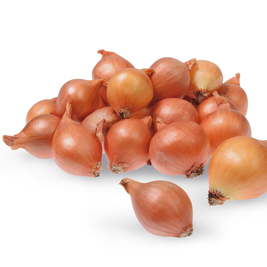 Schalottenlök 'Yellow Moon', sättlök 250g