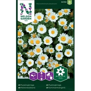 Fröer Nelson Garden Pysslingkrage Vit