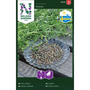 Fröer Nelson Garden Grön lins Anicia Ursprung Sverige