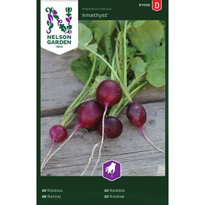Fröer Nelson Garden Rädisa Amethyst