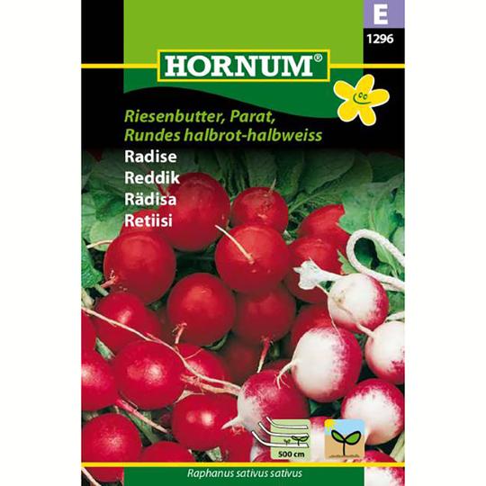 Rädisa 'Riesenbutter'