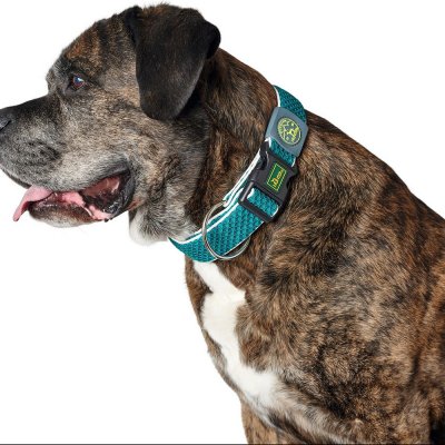 Hundhalsband Hunter Plus Tråd turquoise Turkos Storlek L (40-60 cm)