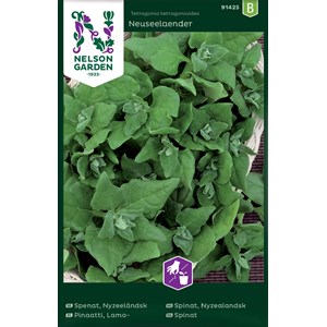 Fröer Nelson Garden Spenat Nyzeeländsk