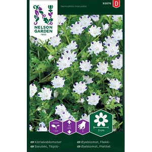 Fröer Nelson Garden Kärleksblomster