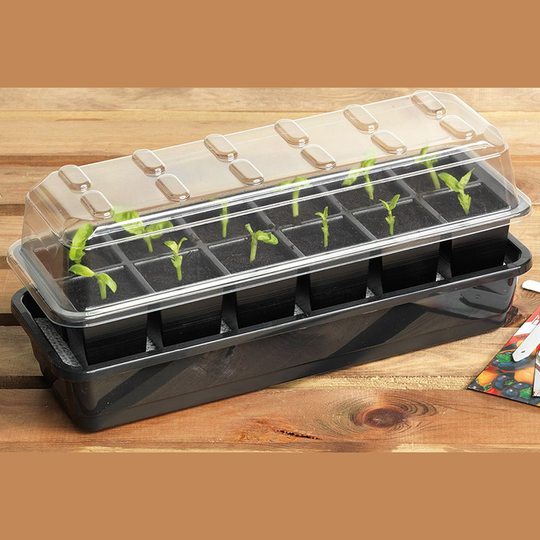 Seed Success miniväxthus med bevattning, 12 celler